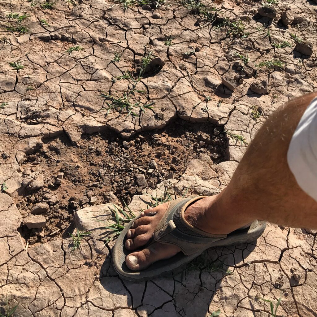 Large footprint in the cracked shoreline at Gunlock Reservoir.